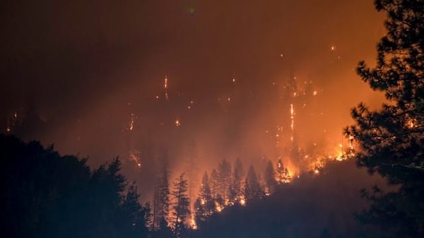 Quelle approche technologique est la plus adaptée pour la détection précoce des incendies de forêt?